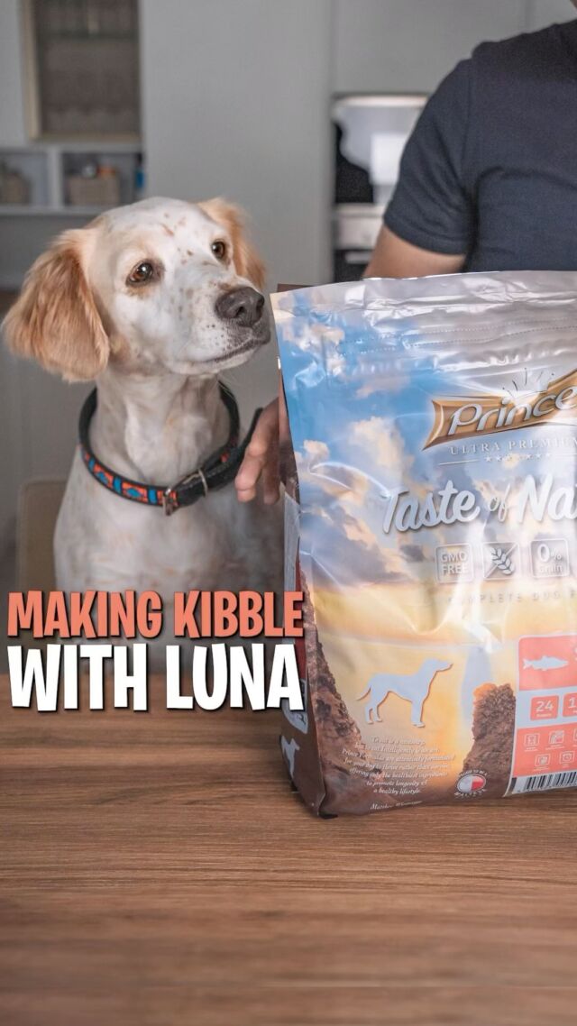 Curious about what’s in your dog’s kibble?🧐 
Sean from @princeandprincesseu breaks down every ingredient, from salmon to nutritious veggies and more! 

So peek behind the scenes at how they craft kibble to keep your furry friend healthy and happy 🤩

And don’t miss Luna’s adorable cameo as she patiently waits to dig into her bowl! 🐶

#Waggos #dogsofinstagram #dogfood #dogkibble #kibble